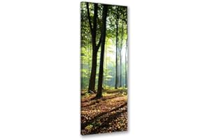 Feeby Leinwand Bilder - Natur - Wald - 40x100 cm- Deko Wohnzimmer - Wandbilder Schlafzimmer - Deko Aesthetic - Wand Deko - Leinwand Groß - Bäume - Deko Zimmer - Leinwandbilder XXL