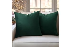 Slozzi Set of 2 Velvet Cushion Covers, Household Decorative Cushion Cover, Soft Sofa Cushion for Sofa, Bedroom, Living Room, 40 x 40 cm, Dark Green