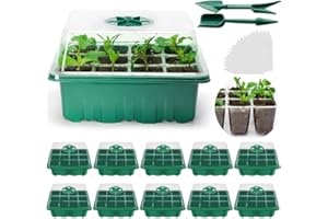 TARUMEDO Zimmergewächshaus Anzuchtkasten, 10Pcs Mini Gewächshaus Anzucht Set Sämling Pflanze Aufzucht Aufzucht Setzling Starter Tabletts Minigewächshäuser Treibhaus Anzuchtschale mit Deckel und Belüftung