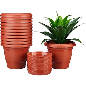 Amazon Brand - Solimo Round Pots for Plants with Bottom Tray|Lightweight|Indoor and Outdoor Flower Pot for Home/Office/Table/Garden/Balcony Decoration|8 inch (Set of 12), Brown