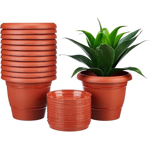 Amazon Brand - Solimo Round Pots for Plants with Bottom Tray|Lightweight|Indoor and Outdoor Flower Pot for Home/Office/Table/Garden/Balcony Decoration|8 inch (Set of 12), Brown