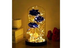DREAM OF FLOWERS La Belle et la Bête,Rose éternelle Un dôme en Verre avec lumière LED,Cadeau unique,Saint Valentin,Thanksgiving,Anniversaire de fille,Galaxy Rose,Meilleur cadeau pour elle fête des mères