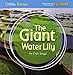 Produktbild Explore on Your Own the Giant Water Lily - Florida
