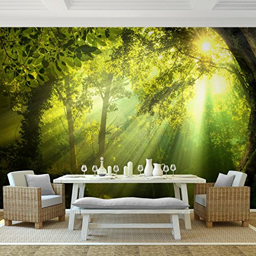 Fototapete Wald 396 x 280 cm – Vliestapete – Wandtapete – Vlies Phototapete – Wand – Wandbilder XXL – !!! 100% MADE IN GERMANY !!! Runa Tapete 9102012a - 2