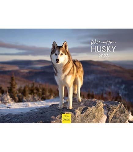 Calendrier Mural 2026 Husky Sibérien - Format A3 (29,7x42 Cm) - 12 Photos - Spirale - Semaine Commence Lundi