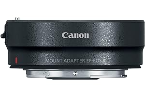 Canon Mount Adapter EF-EOS R adattatore per lente fotografica