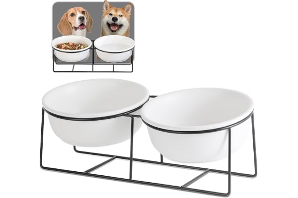 Gamelle Chien Chat - Surelevee et Inclinée avec Support - Gamelle pour Chien Moyen | Gros Chat - Double Bol en Ceramique pour Eau et Nourriture - 850ml×2