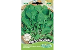 Germisem Rucola Cultivata Semillas de Rúcula 8 g (EC7001)