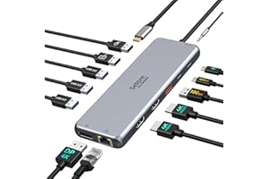 SELORE&S-GLOBAL HUB USB C Docking Station USB C Dual HDMI, 13 en 1 Dock USB C vers Double HDMI, Displayport, USB C 3.1, PD 100W, USB 3.1/3.0/2.0, Ethernet RJ45, Audio, Stations d'accueil USB C pour MacBook HP Dell