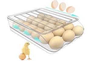 MYXKHYLL Eierhalter für Kühlschrank, Eierbehälter für Kühlschrank, Eieraufbewahrungsbehälter, Organizer, transparenter Kunststoff-Aufbewahrungsbehälter, Eieraufbewahrung und Eierablage,