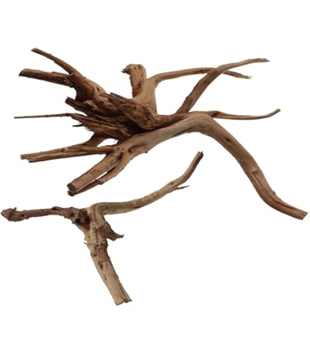 Radice Sera Scaper Root Per Acquario - Decorazione Naturale Per Acquascaping - Foto 8