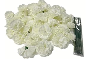 Rikyo Juego de 50 cabezas de clavel de seda artificial con tallos, rellenos de jarrón, ramillete de muñeca hecho a mano, múltiples cabezas de pétalos de 2 pulgadas con tallos de 8 pulgadas (blanco)