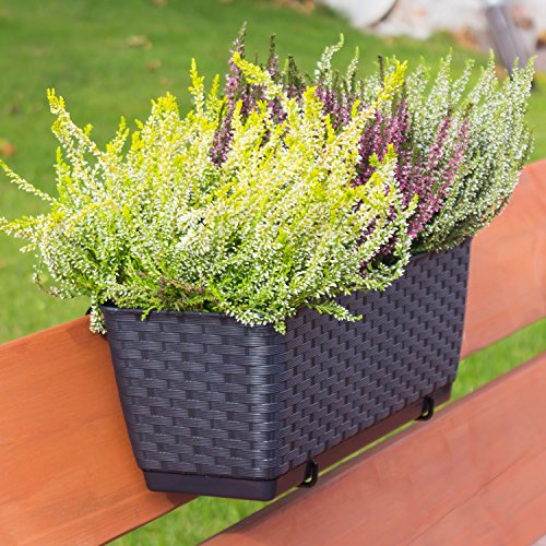 3 x Blumentopf Blumenkasten Balkonkasten Rattan Optik inkl. Untersetzer Halterung anthrazit L 50 cm Ratolla - 6