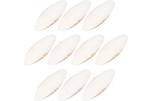 Richolyn 10 Pezzi Ossi di Seppia Osso di Seppia per Uccelli Naturali Mangime Cocorite Osso di Seppia Tartarughe Spighe di Panico per Pappagalli Gioco Pappagallo da Masticare