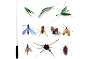 Hjvvr Cat Teaser Wand with 10pcs Cat Insect Feather Toys,Cat Toys,Replaceable Bug Toy for Kitten