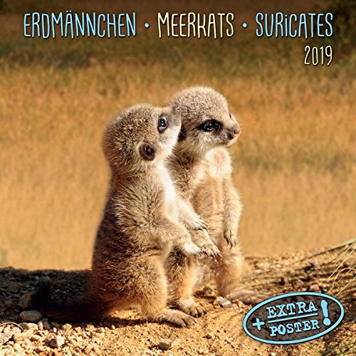 Meerkats/Erdmännchen 2019: Kalender 2019 (Artwork Edition)
