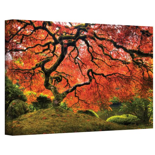 Lag3 Art Mural 79 x 312 Arbre Japonais Gallery emballés par John Noir sur Toile Multicolore