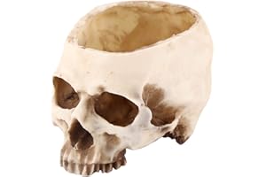 TYENAZA Skull Planter, Resin Skull Shaped Head Design Flower Pot Planter Container Decor Multifunctional Skull Plant Pot Container for Home Office Desk Decorations