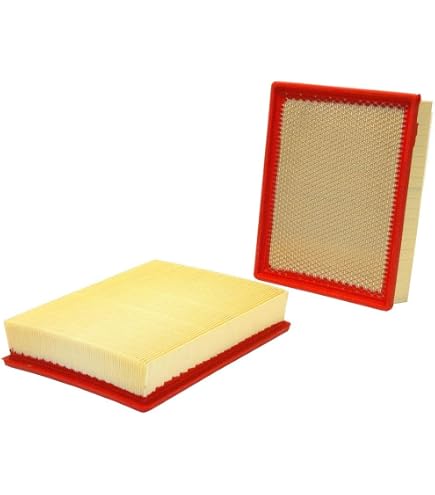 Wix Filters WP9036 Filtro, Aria abitacolo