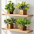 DecoreBugs Artificial Greenery Leaves in Wooden Pot (Pack of 4) – Mini Potted Fake Eucalyptus Plants for Home Décor, Office D