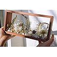 WANLIAN Rectangle Shadow Box Acrylic Wood Frame Display Storage Box, 10X5",Desktop Postcard Display Pressed Flowers Dried Leaf Display Table Decoration (Walnut Brown)