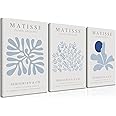 Djmwtb Matisse Canvas Wall Art Blue Abstract Poster Prints Framed Set of 3 Plant Leaves Aesthetic Pictures Minimalist Flower Market Painting Wall Decor for Living Room Bedroom Bathroom 16x24in