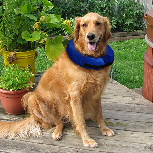 iMounTek Collar Protector Inflable para Perro, Cachorro, Gato, no bloquea la visión, E-Collar Ajustable para recuperación de Mascotas, Medium