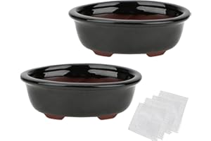 HAPPY BONSAI Zisha Lot de 2 pots à bonsaï en céramique émaillée Noir