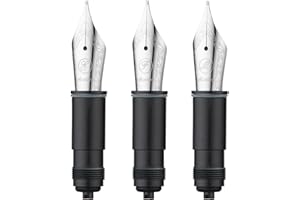 Le stylet fontaine PCS asvine 3 remplace le NIB des séries p36, P50, P80 et v200, argent # 6 EF/F/M NIB set