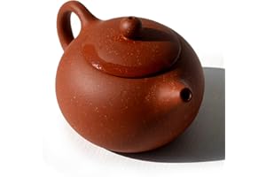 YXHUPOT Théière de 200 ml pour thé chinois Gongfu Xishi Zini en argile avec infuseur pour thé en vrac (9 filtres dragon)