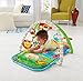 Fisher-Price 3-in-1 Musical Activity Gym