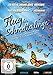Produktbild Flug der Schmetterlinge
