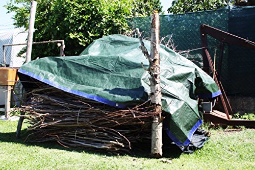 FERPRO Plane mit Ösen Wasserdicht MT. 4 x 6 - 10
