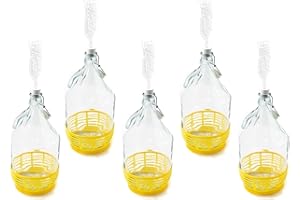 WysKonT - Juego de 5 Globos de Cristal de 5 litros con Cierre de Clip, para Vino