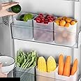 TEX-RO 6 Fridge Storage Containers - Fridge Organiser Storage Boxes, Vegetable Storage Box for Refrigerator, storage box and organiser for kitchen, Fridge Storage Boxes for Vegetables and Fruits
