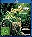Der Smaragdwald [Blu-ray]