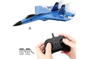 LEOM RC Airplane 2 Channel Remote Control Plane Ready to Fly RC Glider EPP Aircraft with 3-Axis Gyro, Outdoor Flight Toys for Kids and Adults (Blue)