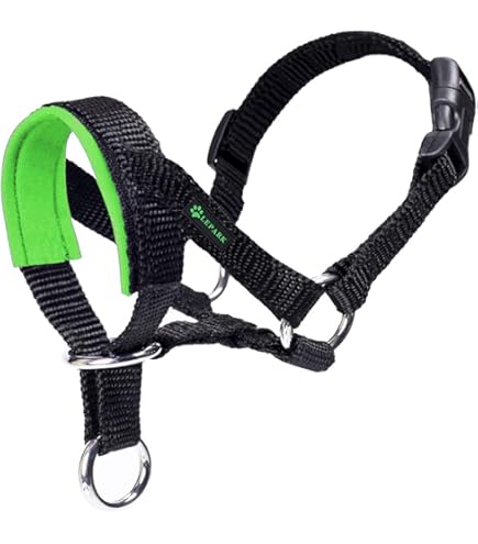 Canny Collar – Anti-Trek Hoofdhalsband voor Honden | Trainingshulpmiddel tegen Trekken aan de Lijn | Zacht, Veilig en Zonder Wurging voor Rustige Wandelingen – Blauw, Maat 6 Canny Collar – Anti-Trek Hoofdhalsband voor Honden | Trainingshulpmiddel tegen Trekken aan de Lijn | Zacht, Veilig en Zonder Wurging voor Rustige Wandelingen – Blauw, Maat 6