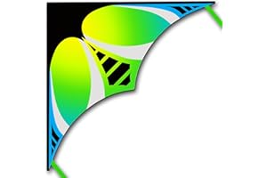 HONBO Aquilone grande per adulti, aquilone per principianti per bambini, facile da volare, il più semplice aquilone da spiaggia a linea singola, con corda da 91,4 m, manico (verde)