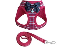 AUSUKY Set morbido zaino regolabile con guinzaglio per animali domestici, comodo e classico, grazioso papillon per cani di piccola taglia e media e gatti (S, rosso)