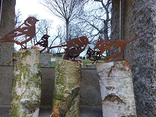 Vogel / Kohlmeise (Rostdeko) - 4