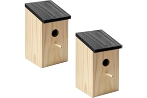 Flatro Bird Nesting Box for Gardens UK (2 Pack) | Small Bird House for Robin, Sparrows, Blue Tits & Other Wildlife Birds