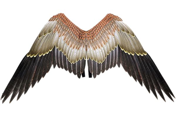NUOLUX Aigle Ailes Oiseau Ailes Adultes Costumes Ailes Photo Accessoires Costume Aile Carnaval