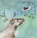 Produktbild Alex Clark Charity Weihnachtskarten 'Rentier und Robin' 5 Stück + 1 GRATIS Karte mit jeder Bestellung