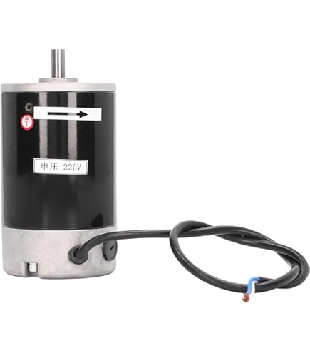 31ZY Motore A Corrente Continua A Magneti Permanenti Micro Motore A Coppia Elevata Avanti E