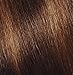 Garnier Nutrisse Multi-Lights Hair Highlighting Kit #H3 Warm Bronze (Cookies ...