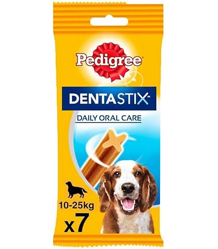 Intex