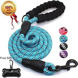 JBYAMUK 1,5 m Correa de Perro Fuerte con Mango Acolchado cómodo y roscas Altamente Reflectantes para Perros medianos y Grandes (Azul)