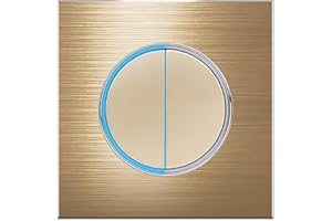 WALLPOINT Circle 1/2/3/4 gang 2 way Push Button Wall Light Switch Glass Step Light LED Indicator (gold 2 gang 2 way)