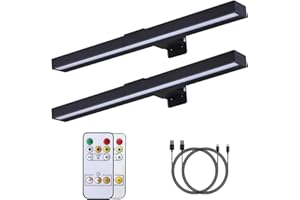 MIOBLUE Luce per quadri wireless con telecomando, luce ricaricabile per pittura, 40,6 cm, lampada da parete con timer dimmerabile, 3 modalità, luce magnetica da parete per bersaglio per opere d'arte